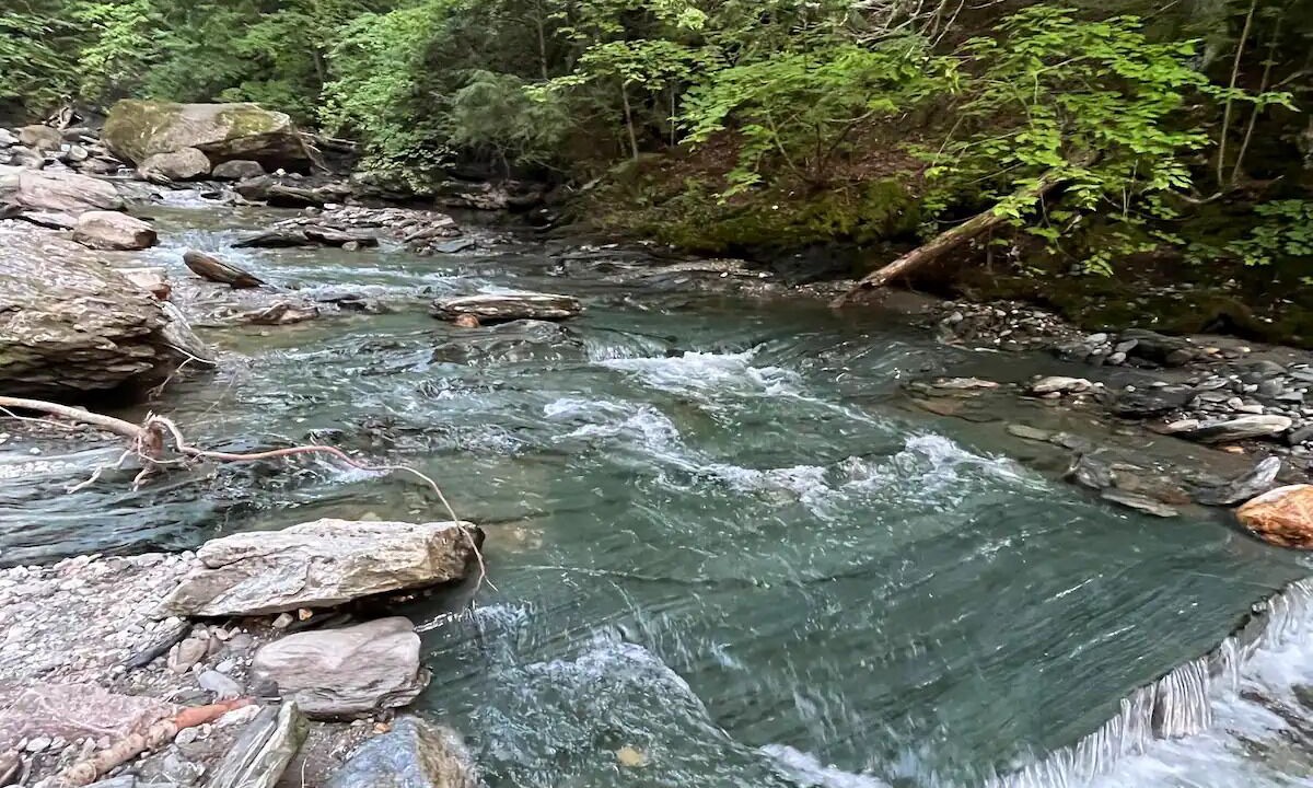 Photo of Others in Green Mountains