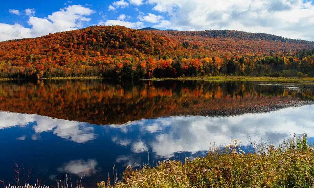 Photo of Others in Green Mountains