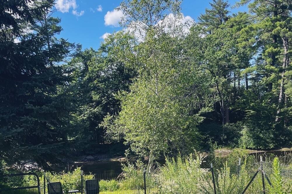 Photo of Outdoor in Kezar Falls