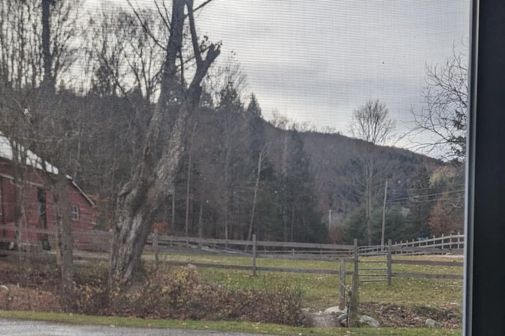 Photo of Others in East Haven  Rutland County