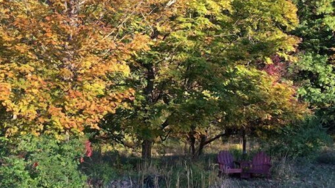 Photo of Outdoor in Argyle