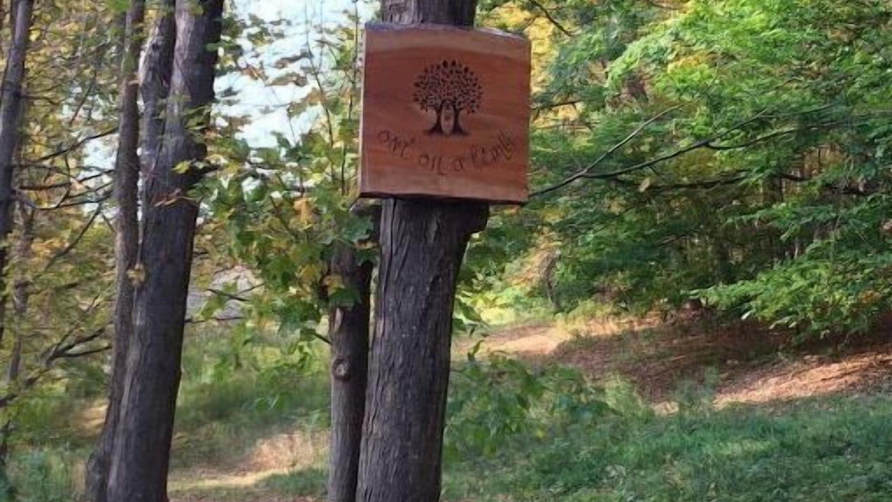 Photo of Outdoor in Argyle