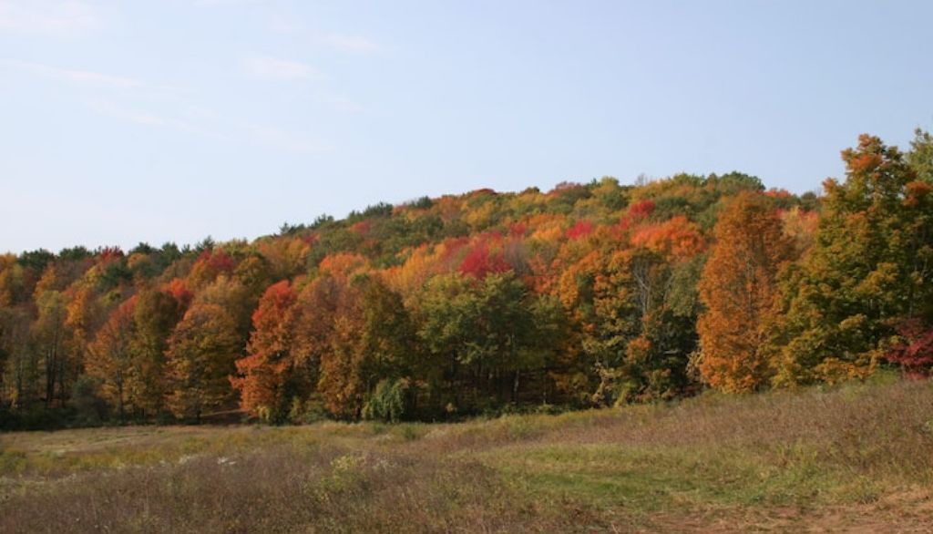 Photo of Others in Argyle