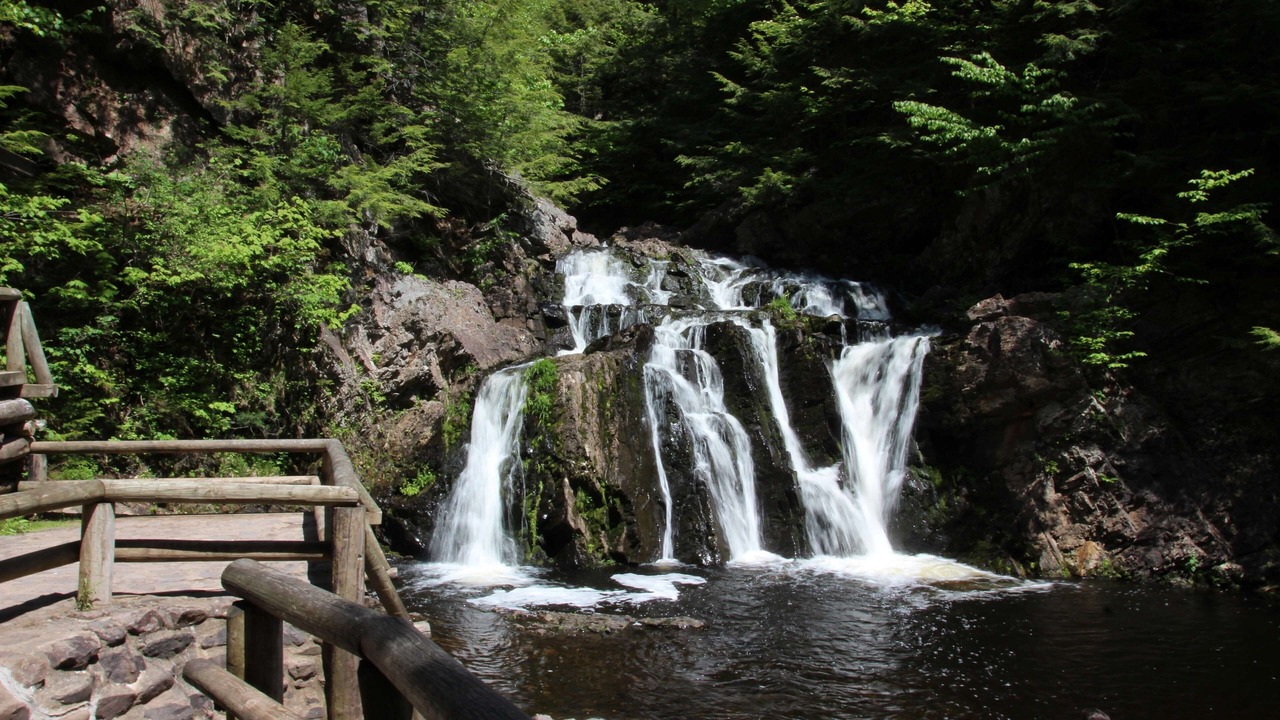 Photo of Others in Brattleboro