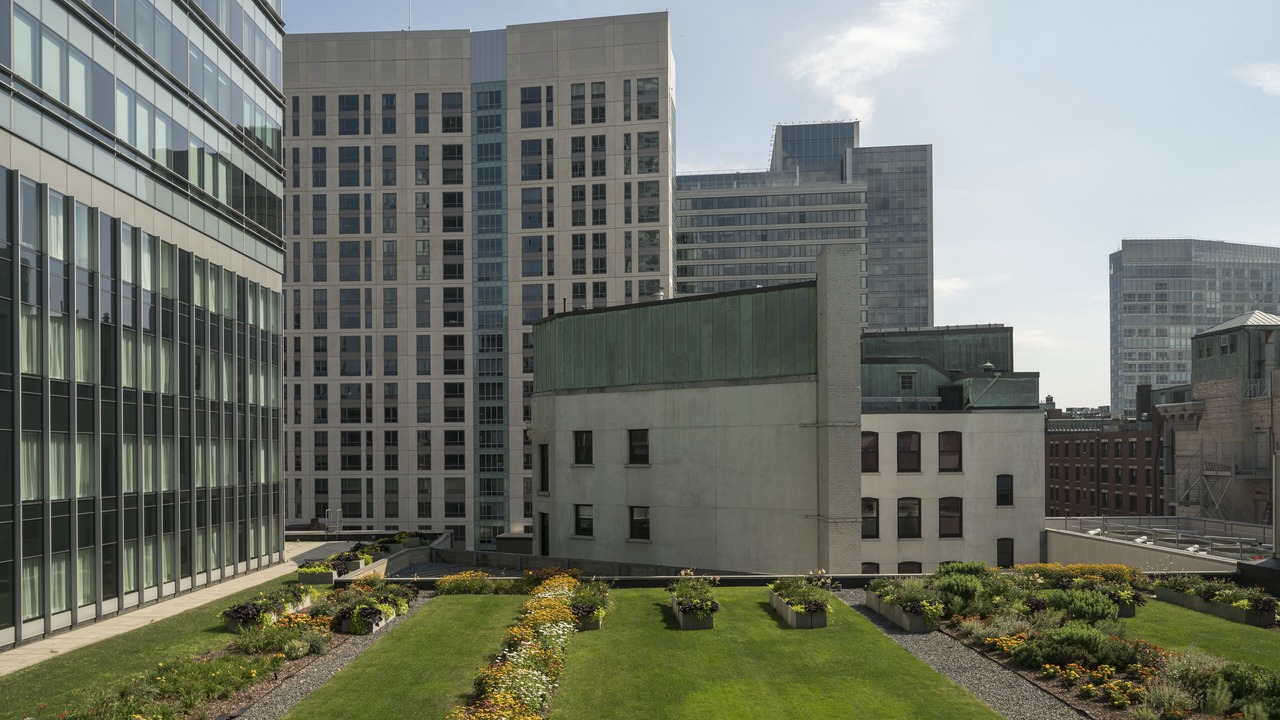 Photo of Outdoor in Theatre District