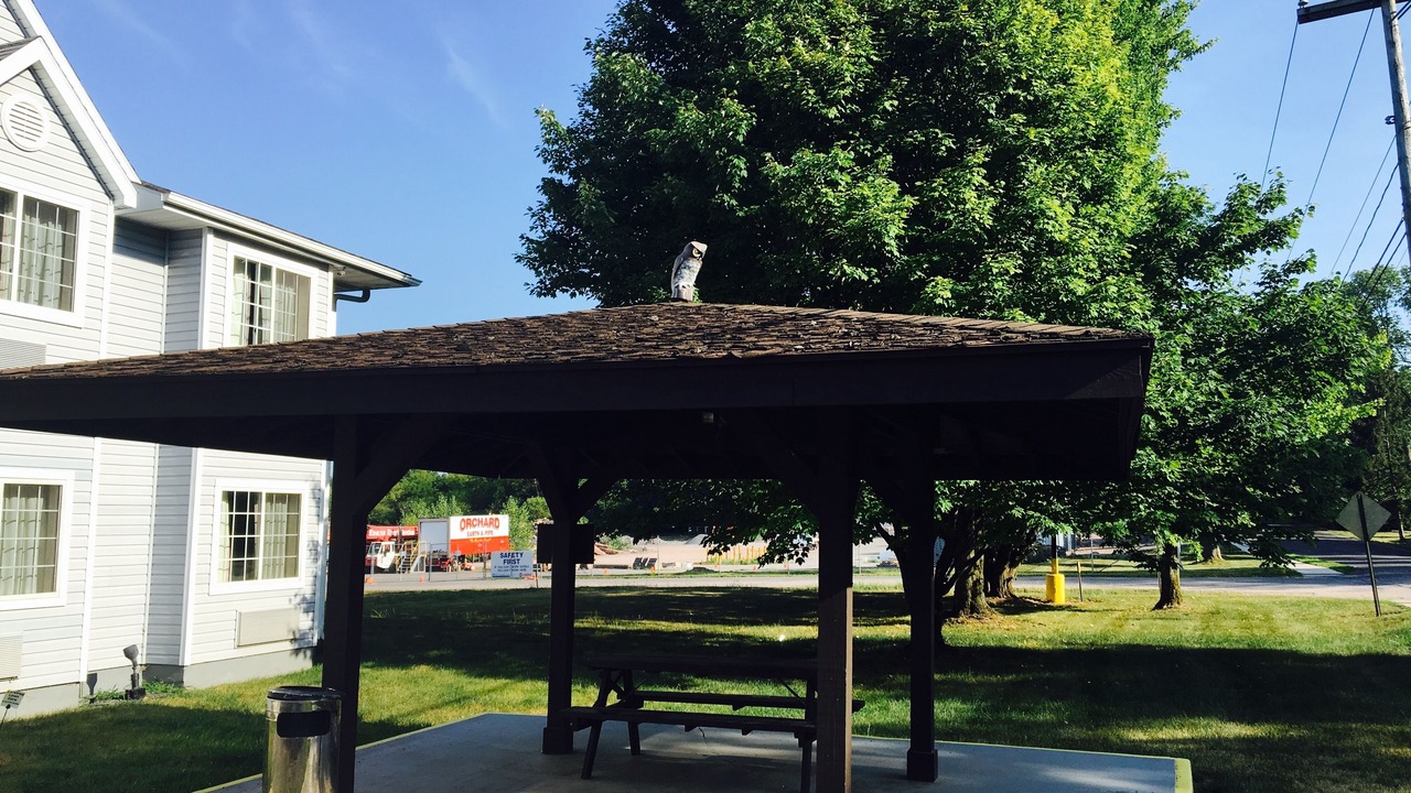 Photo of Outdoor in Baldwinsville