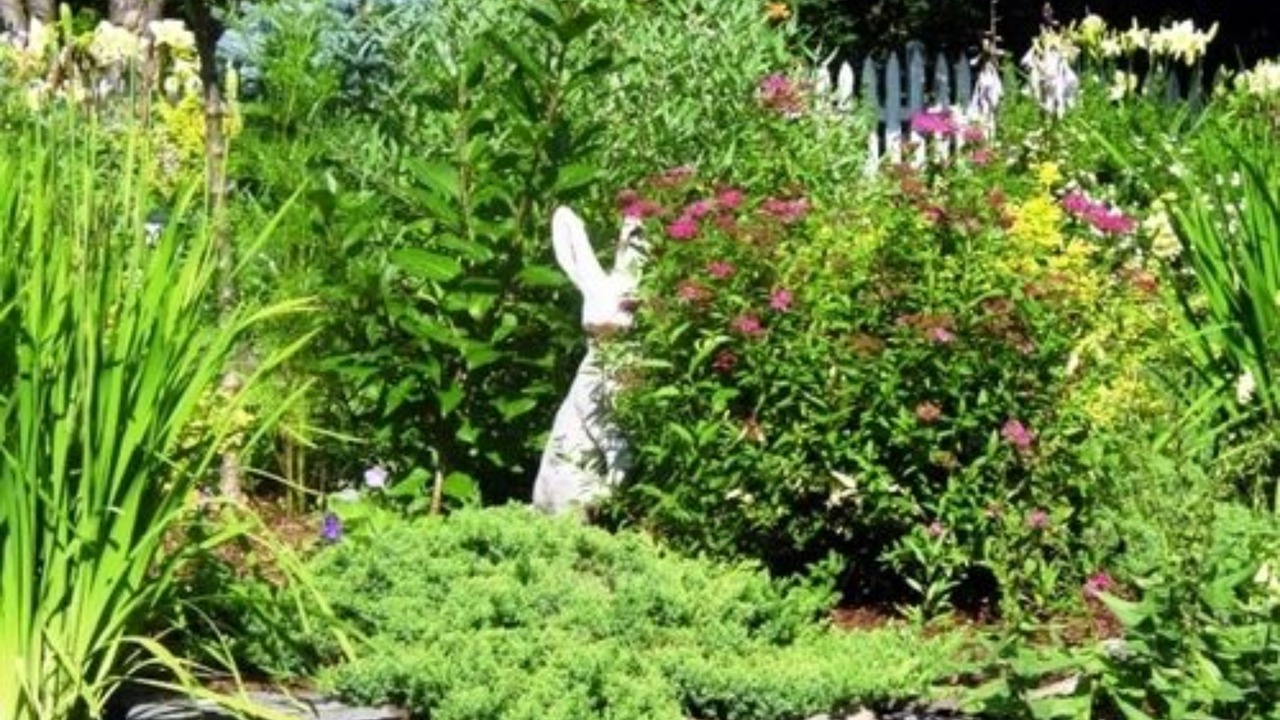Photo of Outdoor in Brandon