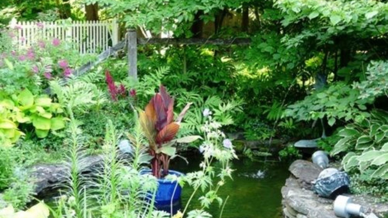 Photo of Outdoor in Brandon