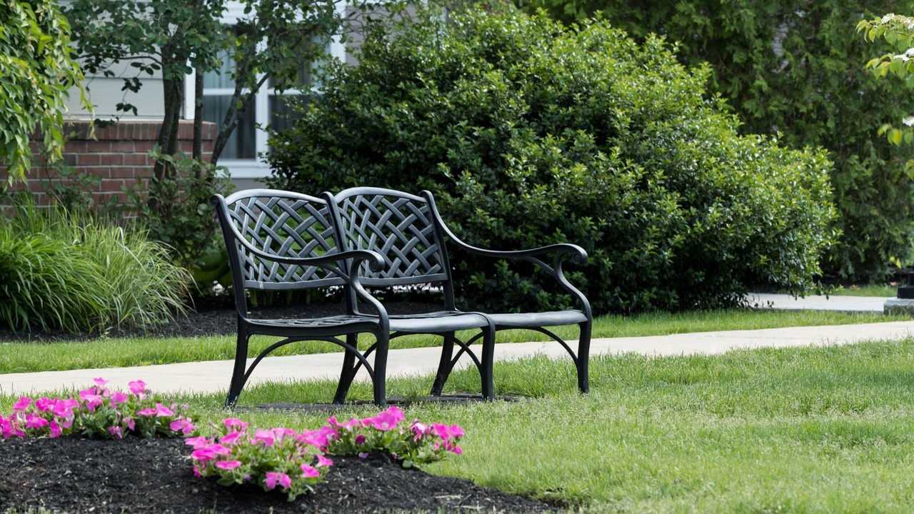 Photo of Outdoor in Westford