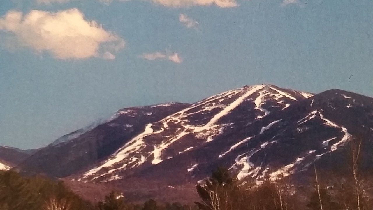 Photo of Others in Littleton