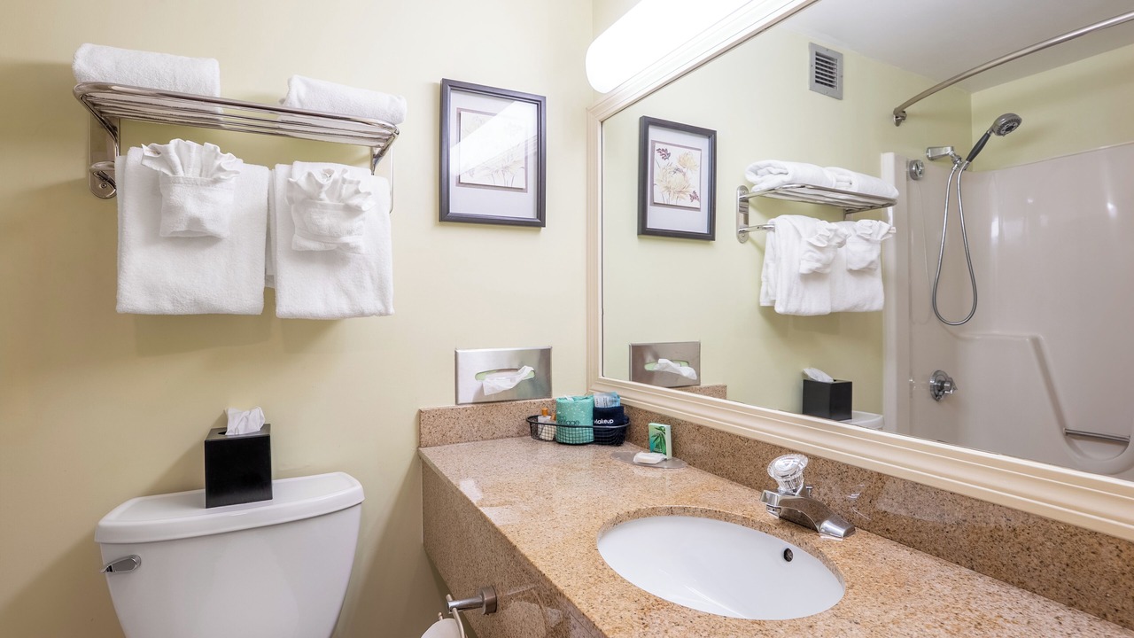 Photo of Bathroom in West Lebanon