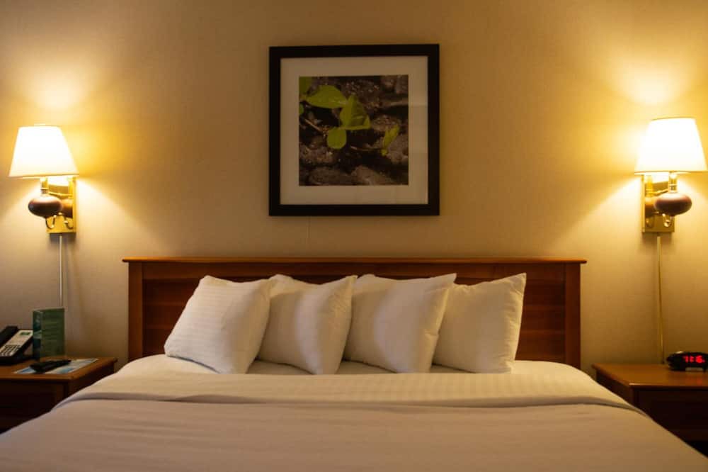 Photo of Bedroom in Summerlee