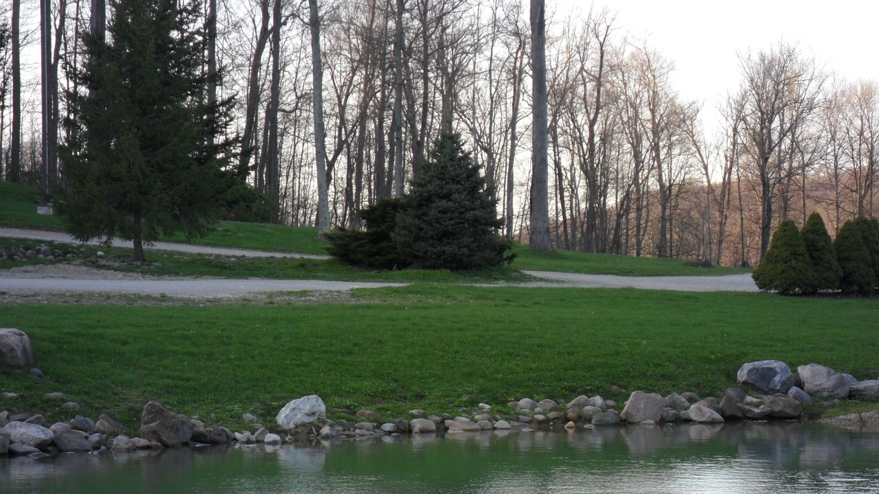 Photo of Outdoor in Mansfield