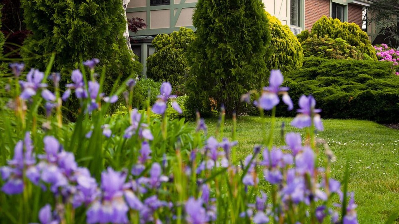 Photo of Outdoor in Village of Southampton
