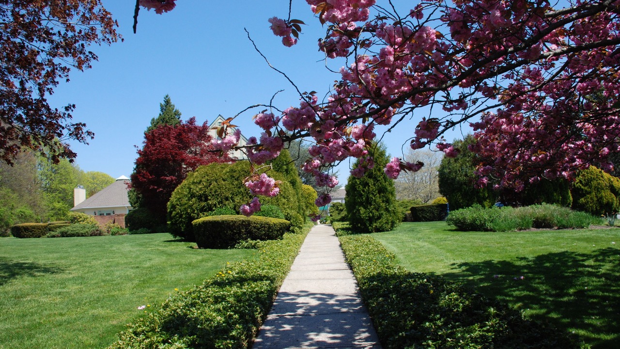 Photo of Outdoor in Village of Southampton