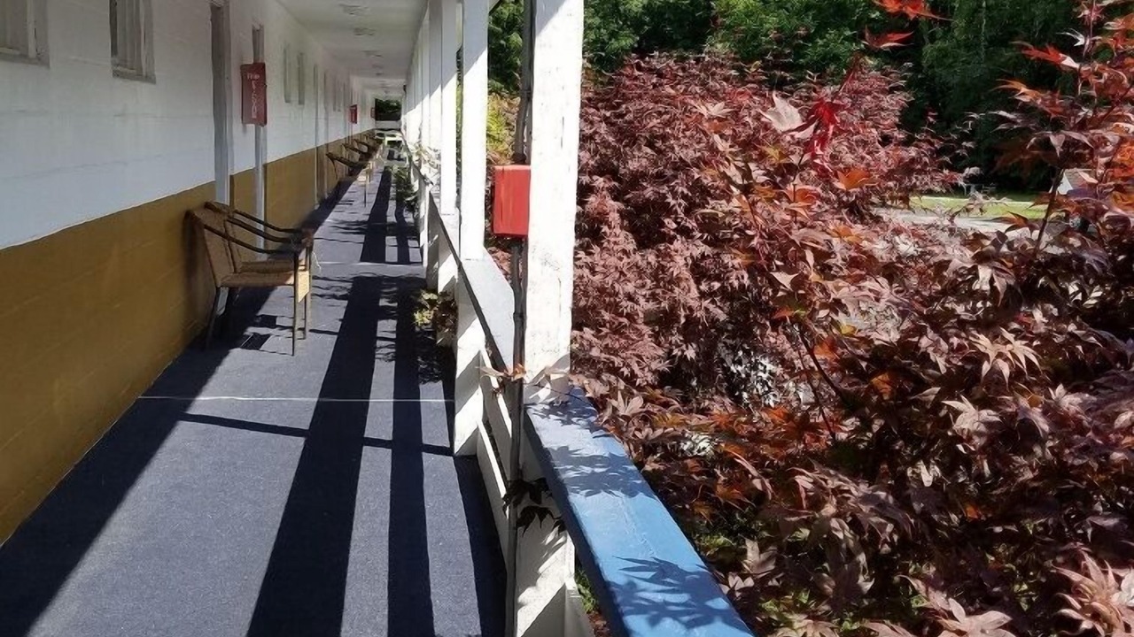 Photo of Outdoor in Lake George
