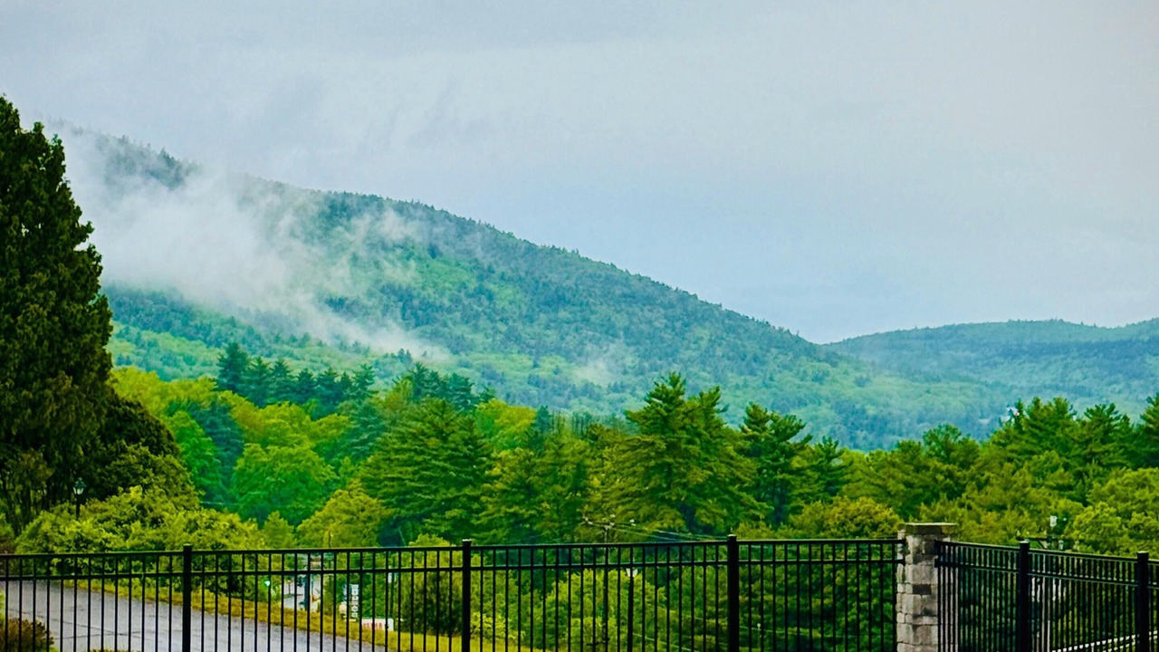 Photo of Outdoor in Lake George