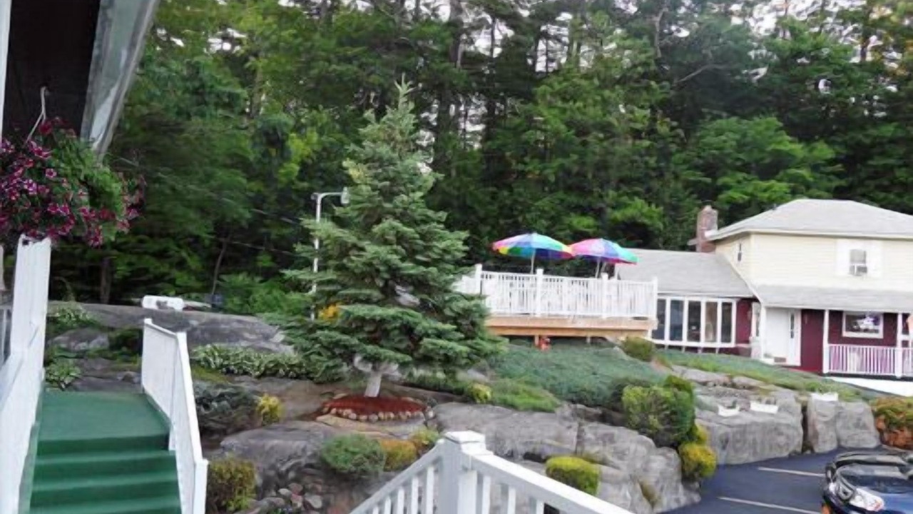 Photo of Others in Lake George