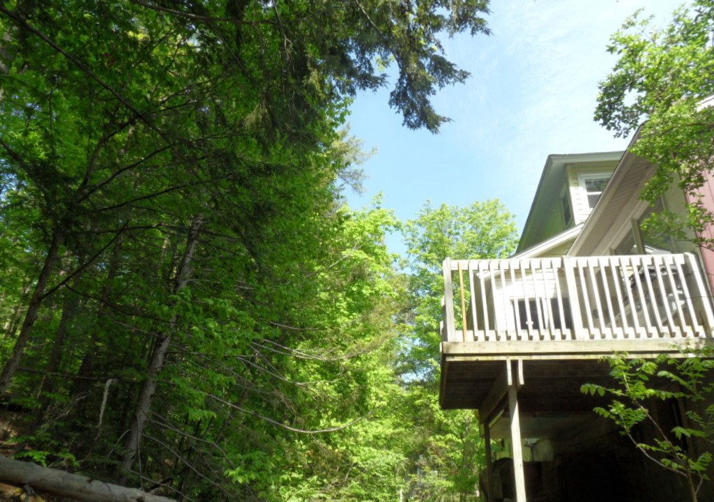 Photo of Outdoor in Lake George