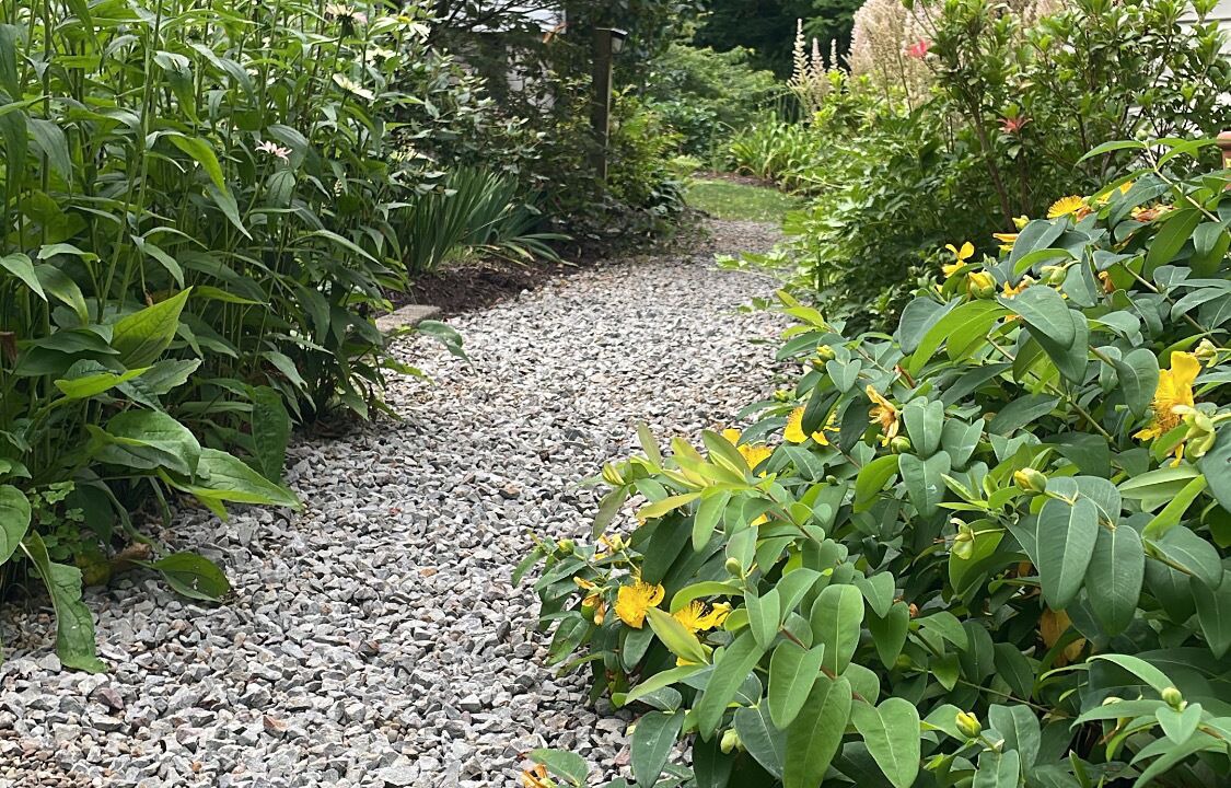 Photo of Outdoor in Reedsville