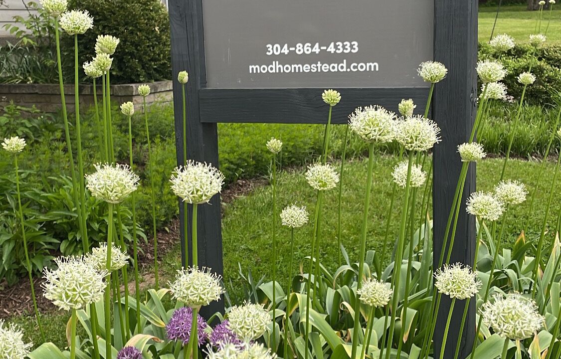 Photo of Outdoor in Reedsville