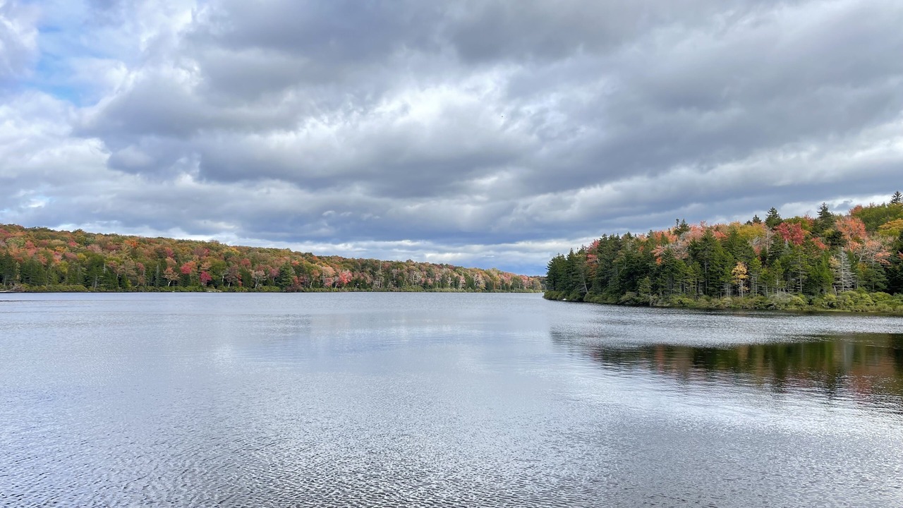 Photo of Outdoor in West Dover