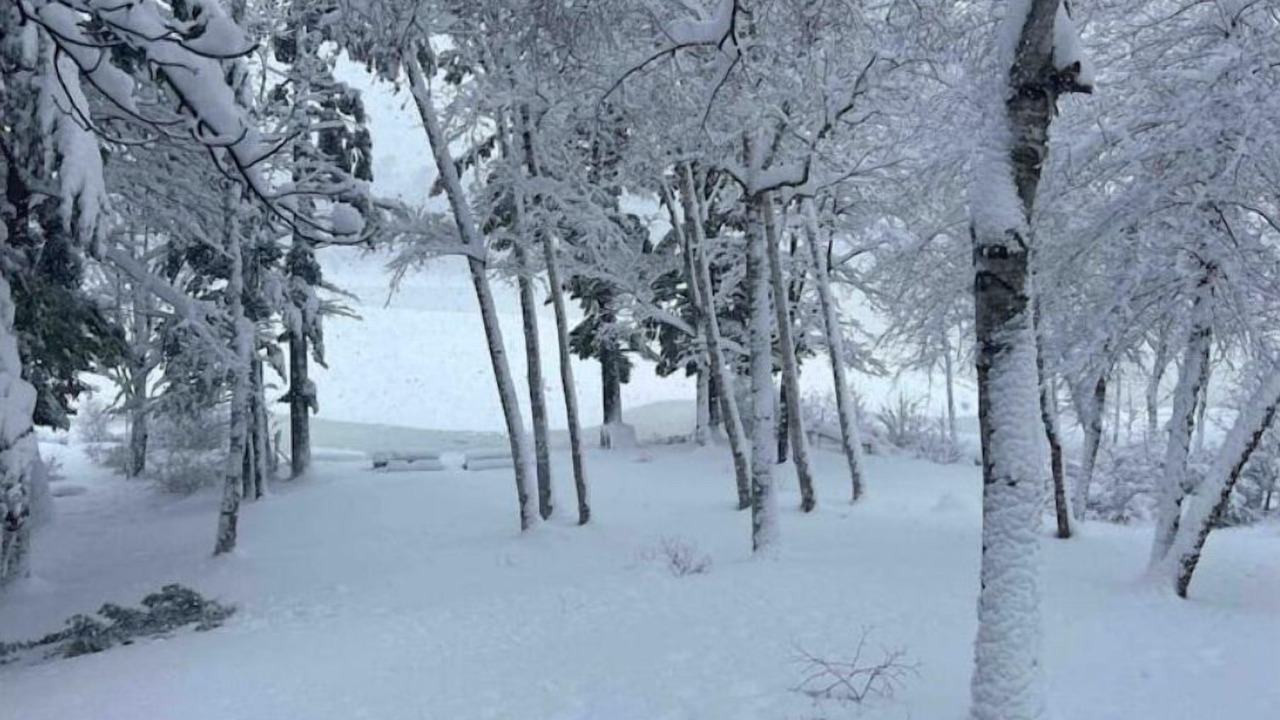 Photo of Others in Dryden