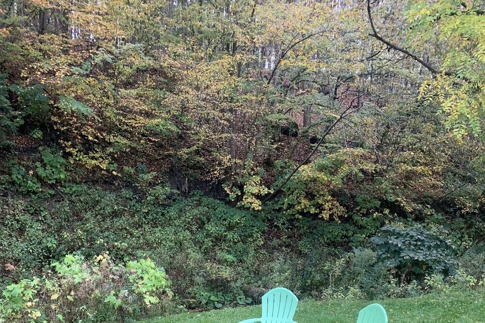 Photo of Outdoor in Van Hornesville