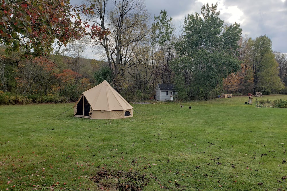 Photo of Outdoor in Dale