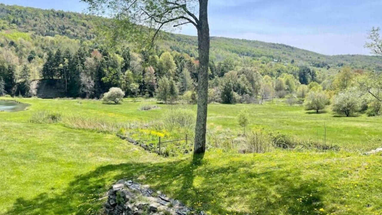 Photo of Outdoor in Charlotteville