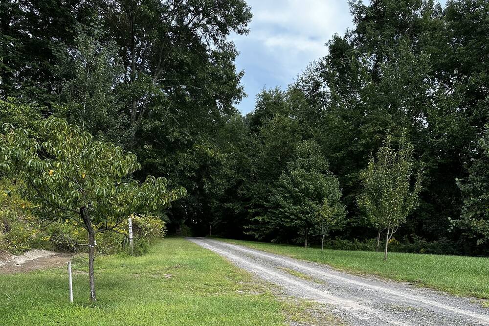 Photo of Outdoor in Accord