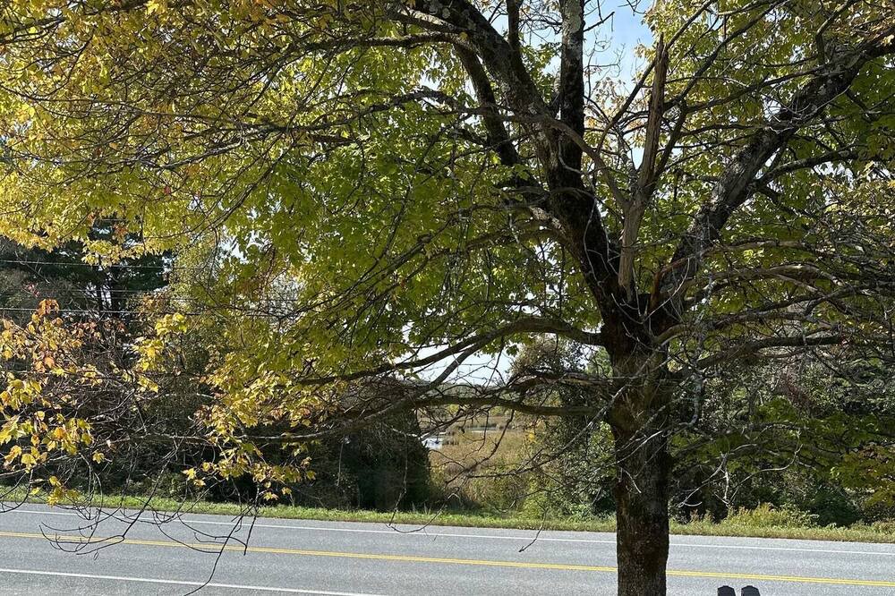 Photo of Outdoor in Brandon