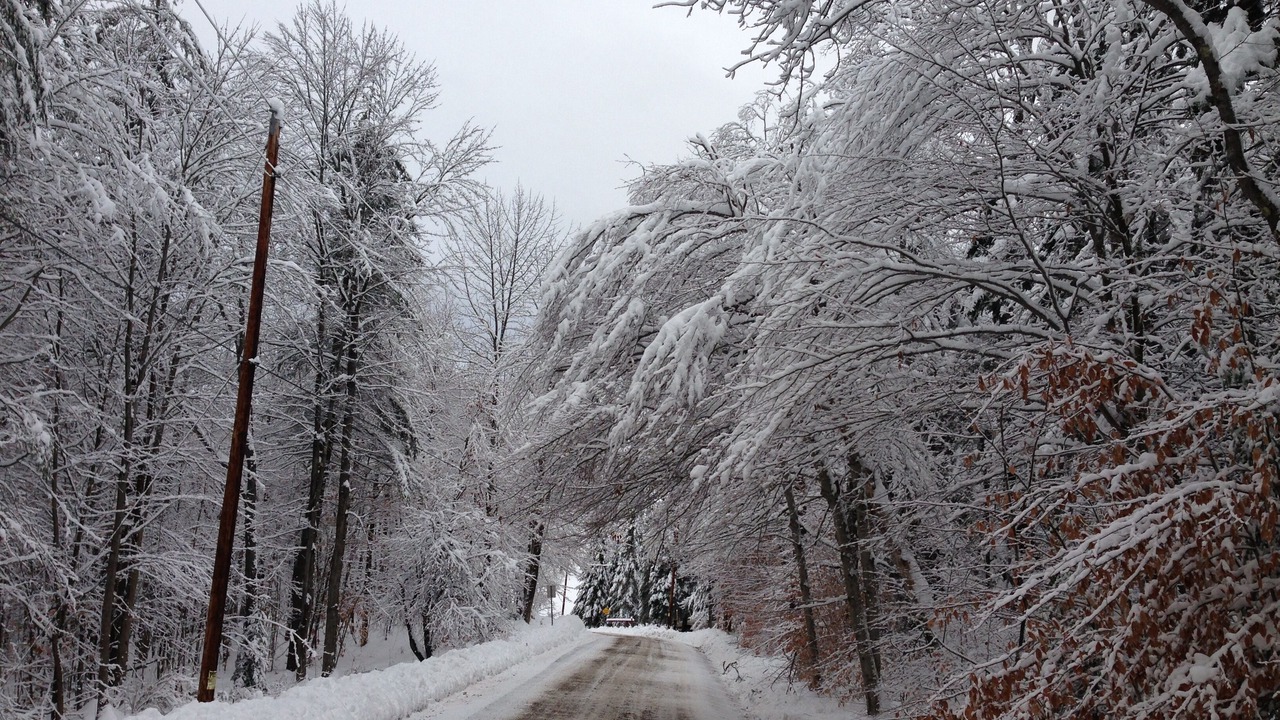 Photo of Others in Northfield