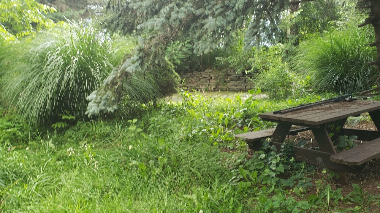 Photo of Outdoor in Hollowville