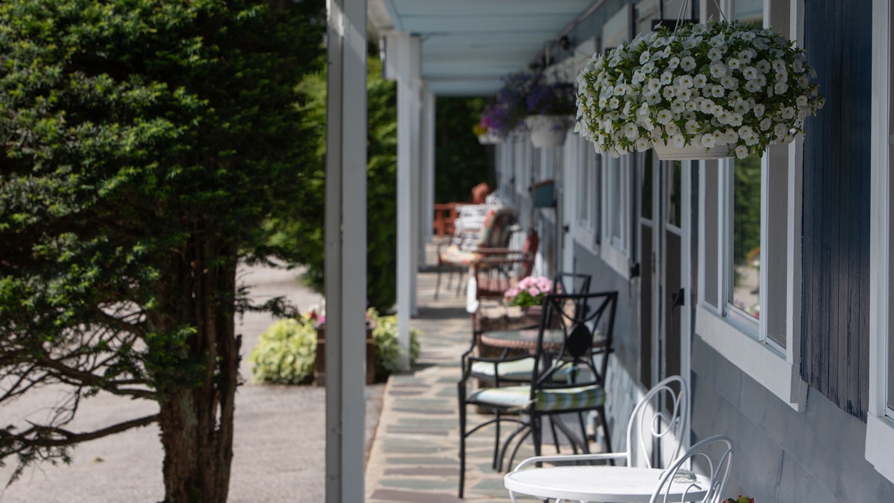 Photo of Outdoor in Shaftsbury