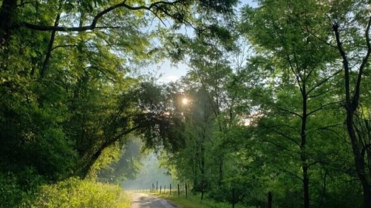 Photo of Outdoor in Davis