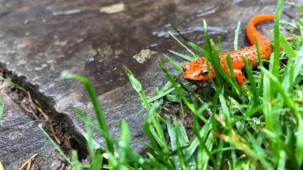 Photo of Outdoor in Davis