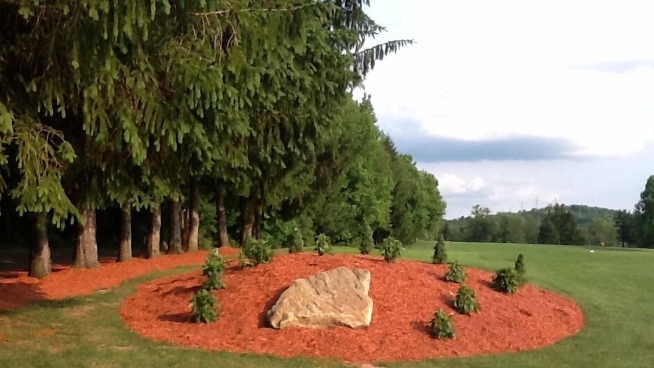 Photo of Others in New Cumberland