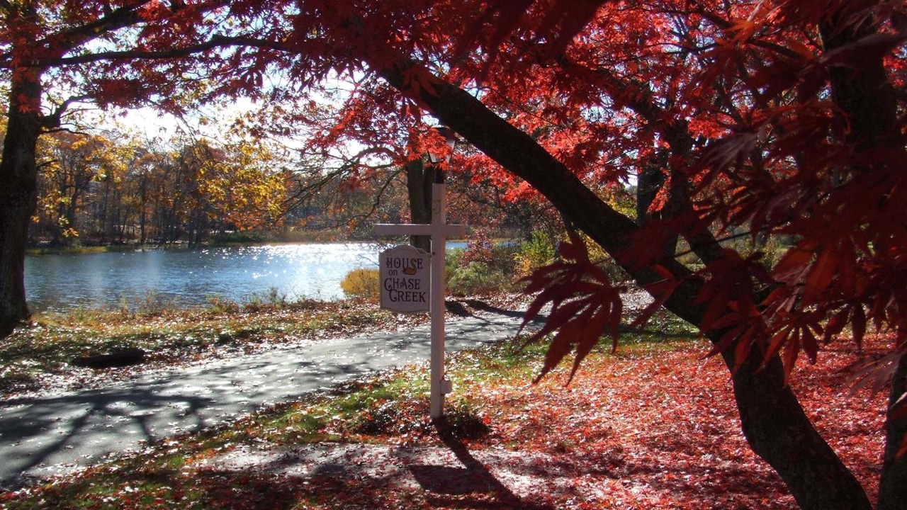Photo of Outdoor in The Heights