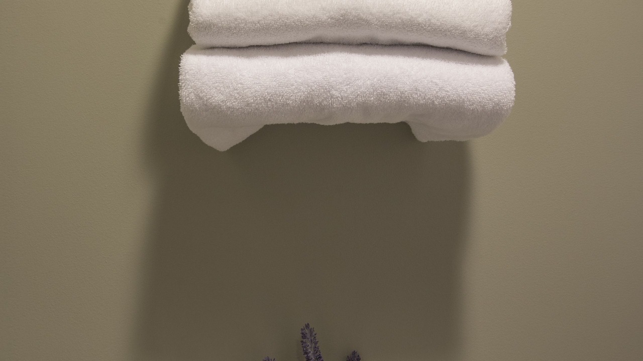 Photo of Bathroom in Atkinson