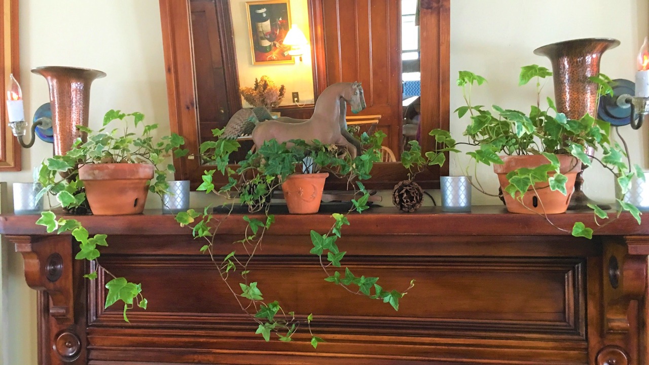 Photo of Livingroom in Center Lovell