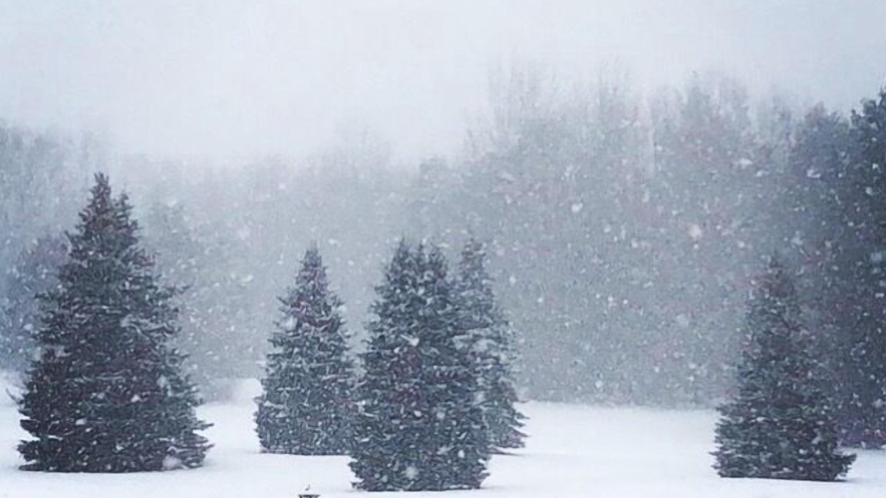 Photo of Outdoor in Henniker