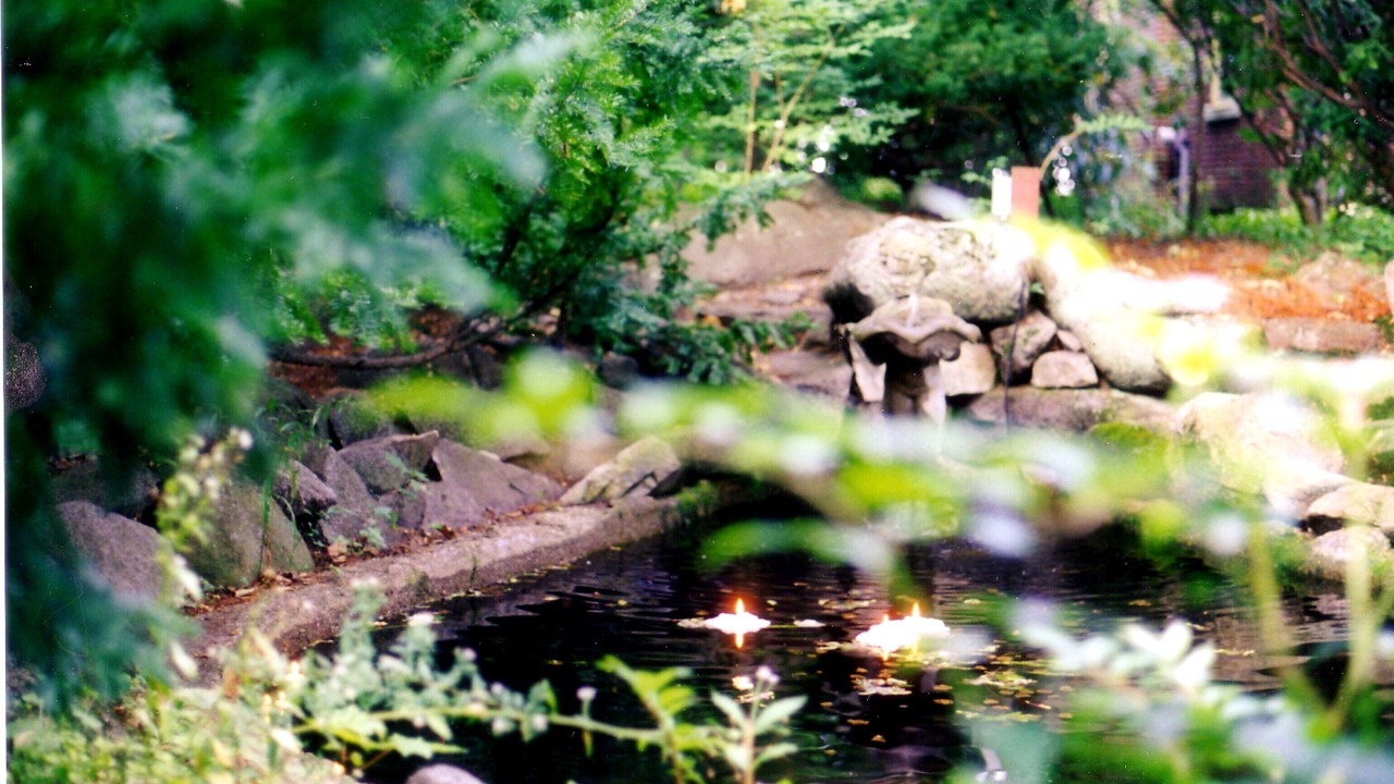 Photo of Outdoor in Rochester