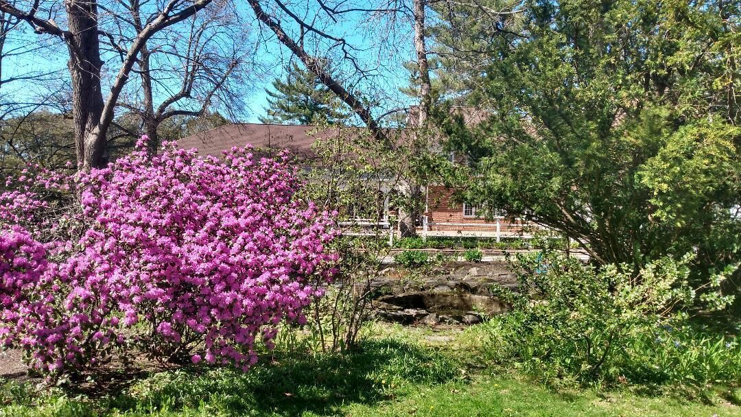 Photo of Outdoor in Rochester