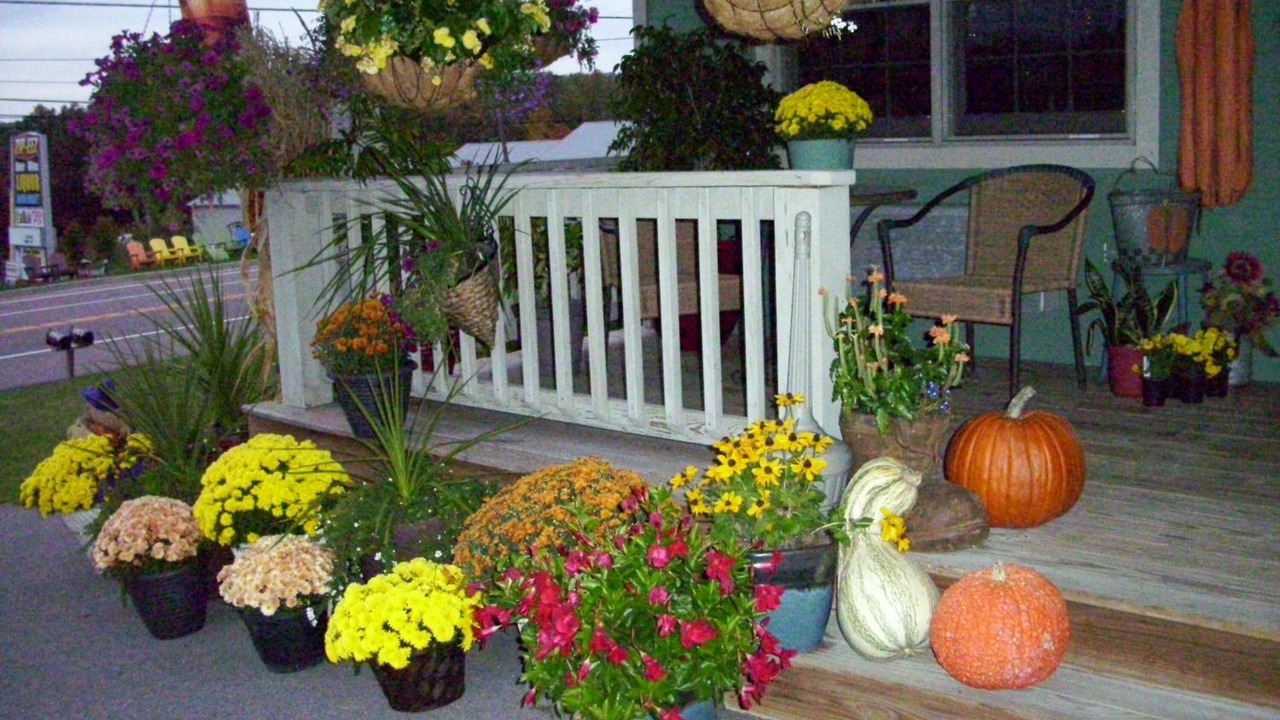 Photo of Outdoor in Thayerville