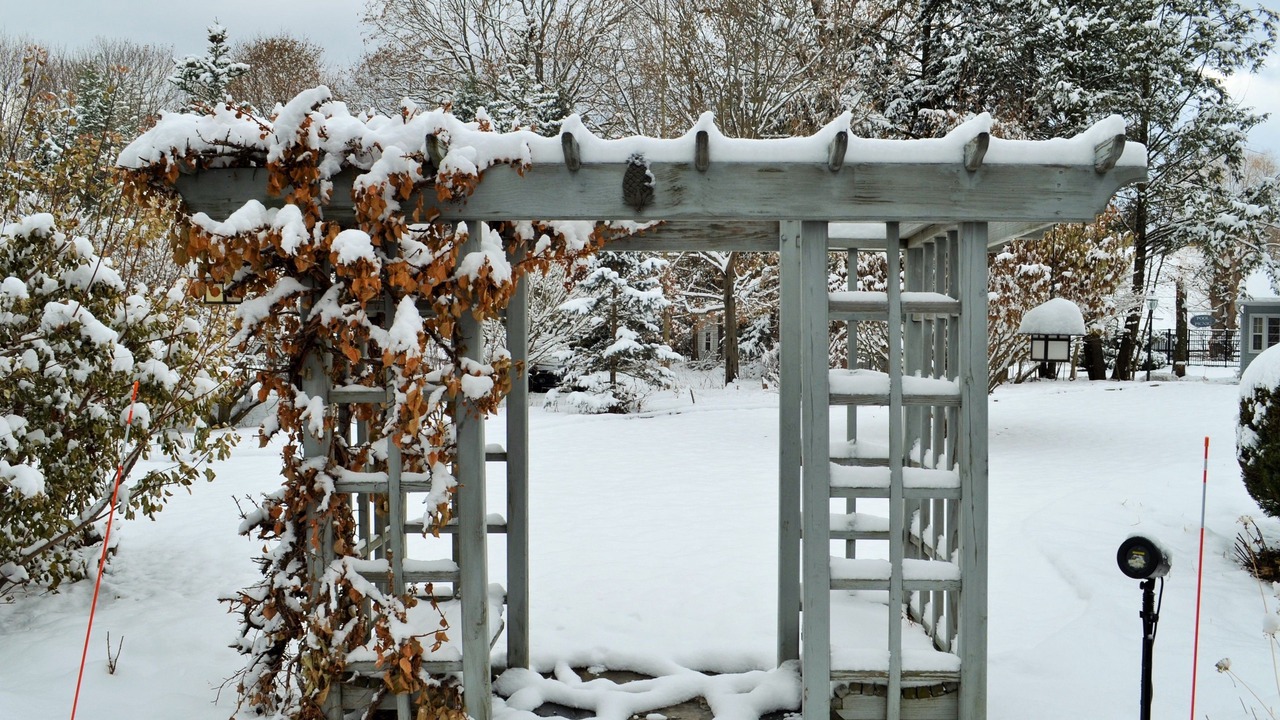Photo of Outdoor in Williamstown