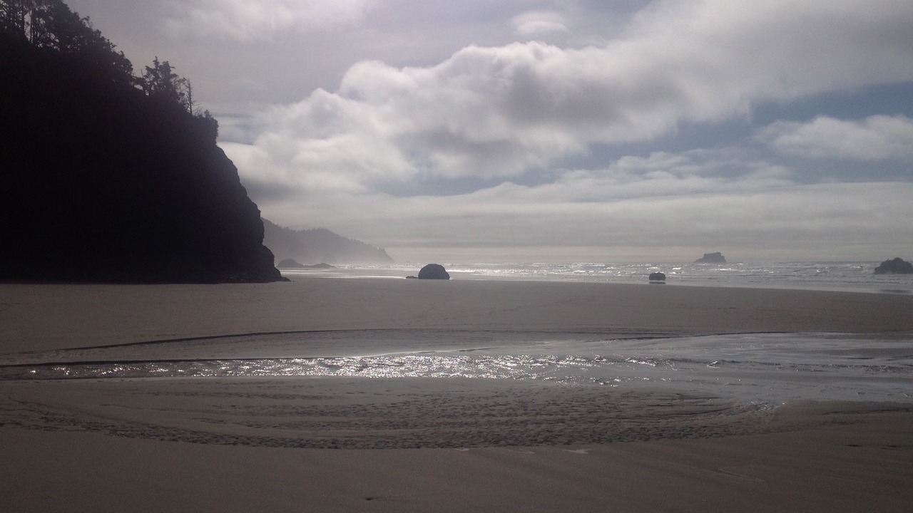 Photo of Others in Manzanita