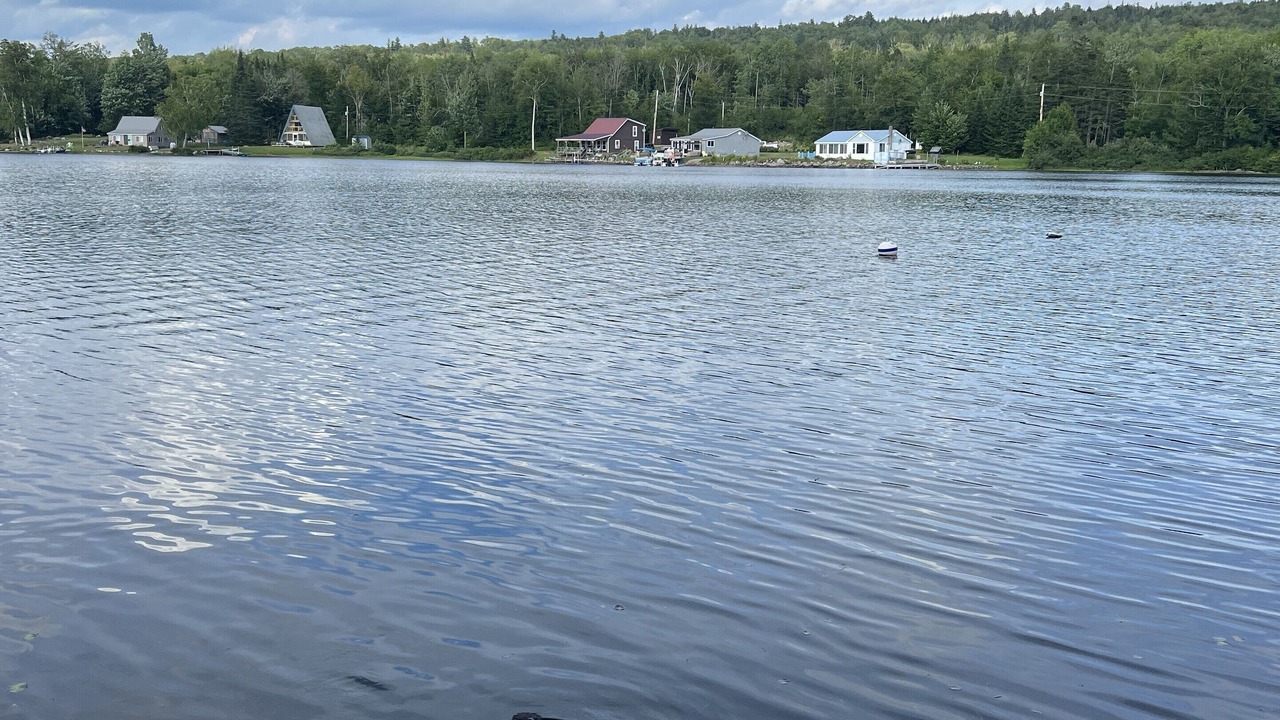 Photo of Others in Lunenburg