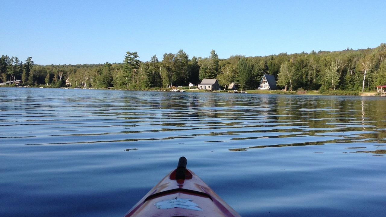 Photo of Others in Lunenburg