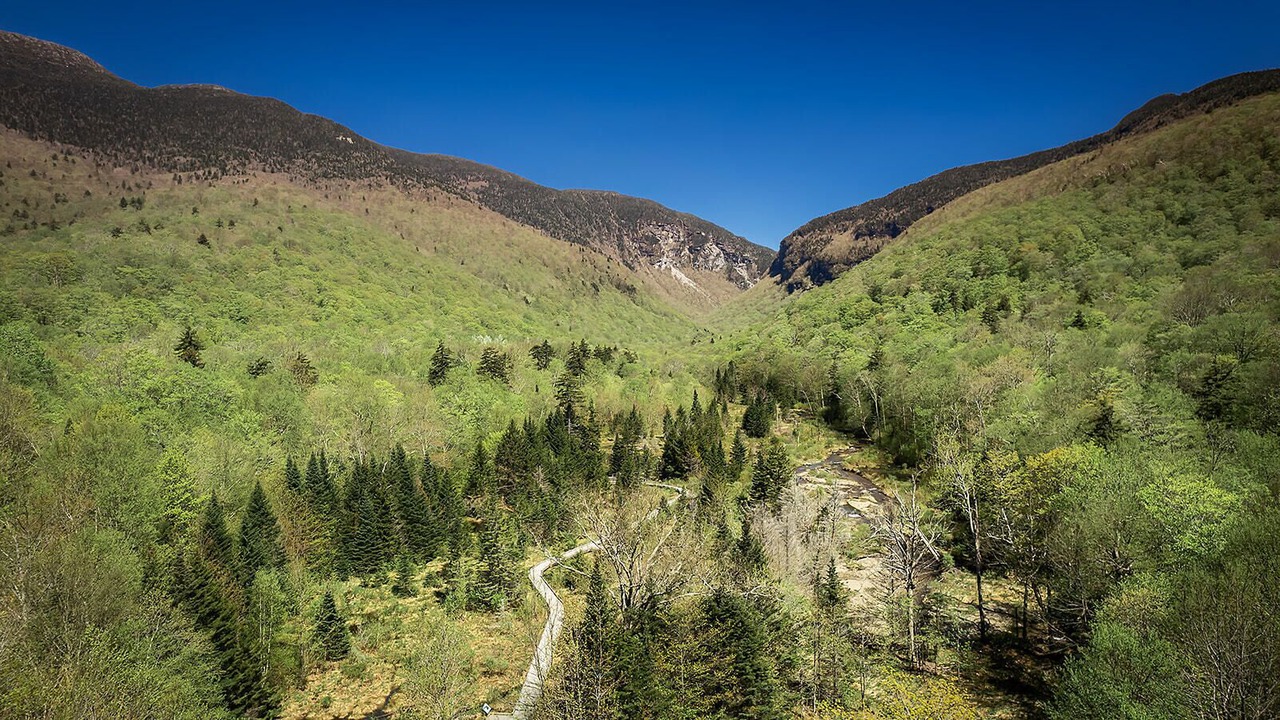 Photo of Outdoor in Stowe Area